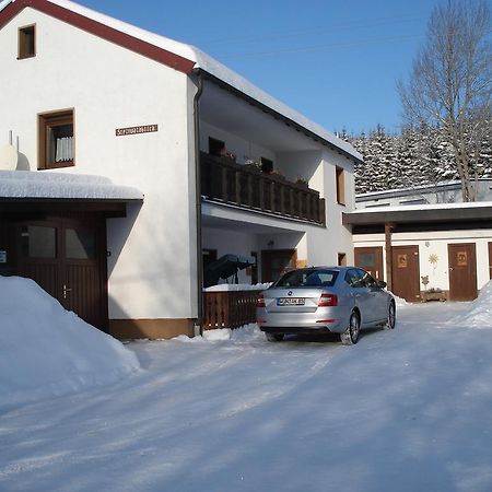 شقة Haus Steinwaldblick Bernlohe  المظهر الخارجي الصورة